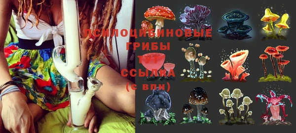 каннабис Бородино