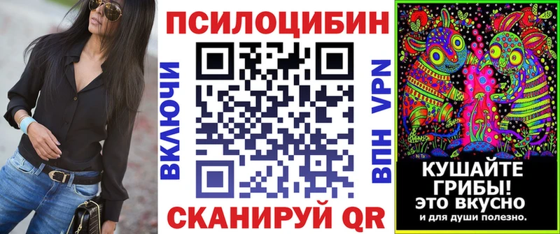 где найти наркотики  Киренск  Псилоцибиновые грибы Psilocybe 